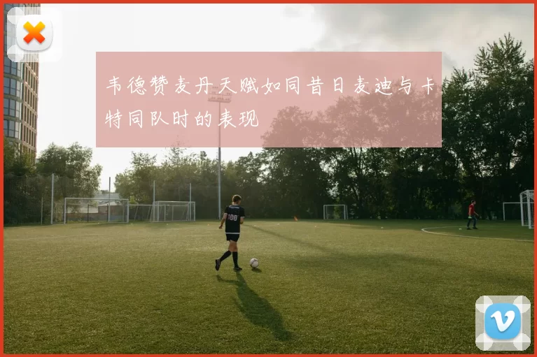 韦德赞麦丹天赋如同昔日麦迪与卡特同队时的表现
